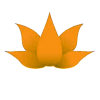 lotus orange